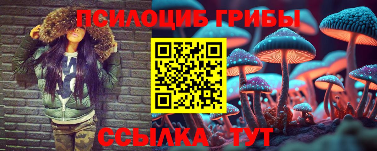 купить наркотики сайты  Псилоцибиновые грибы Psilocybine cubensis  Удомля  Псилоцибиновые грибы Magic Shrooms 